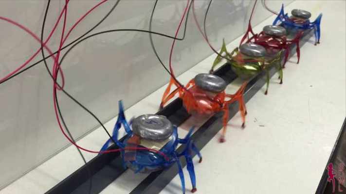 Equipa de seis pequenos robôs consegue rebocar um automóvel (Vídeo)