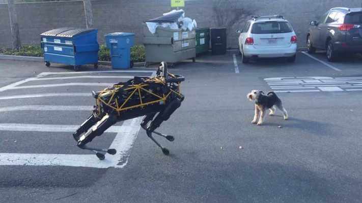 Robô Spot interage com um cão real (Vídeo)